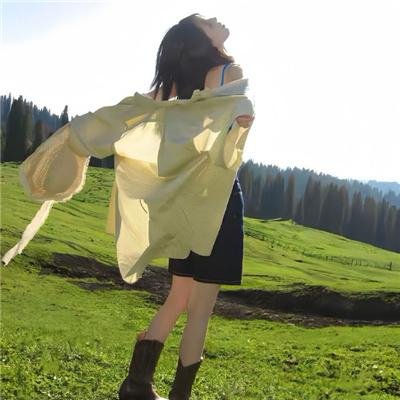 牡丹花血案高清封面